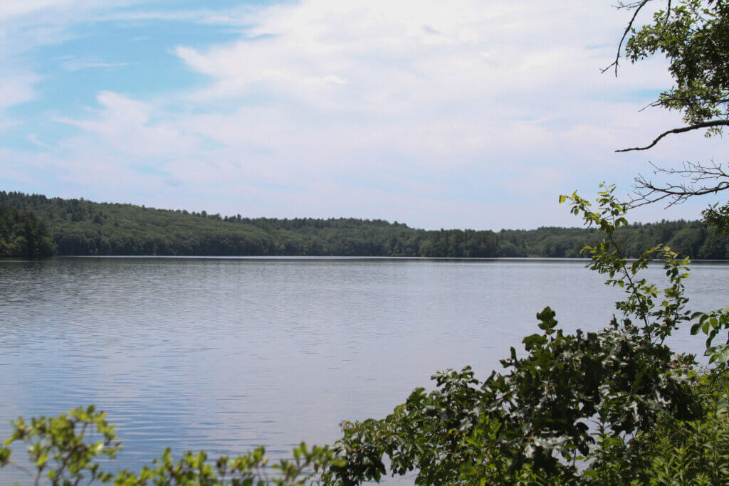 Public Works Director Alan Cathcart says regulations around bromate don’t factor into Acton’s seasonal use of Nagog Pond and require warnings that risk overstating bromate’s presence in the overall water supply. Photo: Dakota Antelman/The Acton Bridge