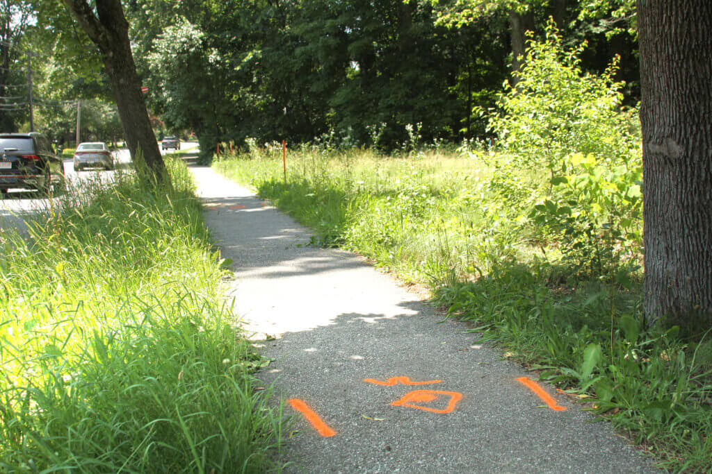 Street markings and wood stakes mark the property line of a planned subdivision off Main Street. Photo: Dakota Antelman/The Acton Bridge