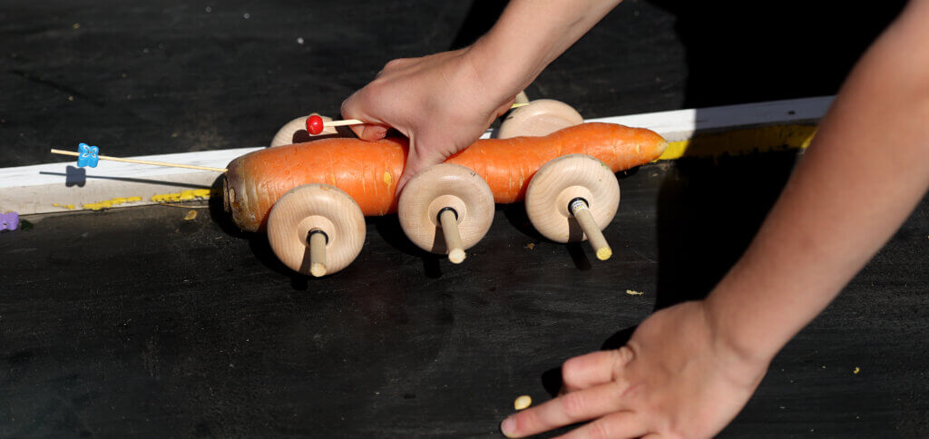 A youngster collects his carrot racer after its lap on the speedway.
