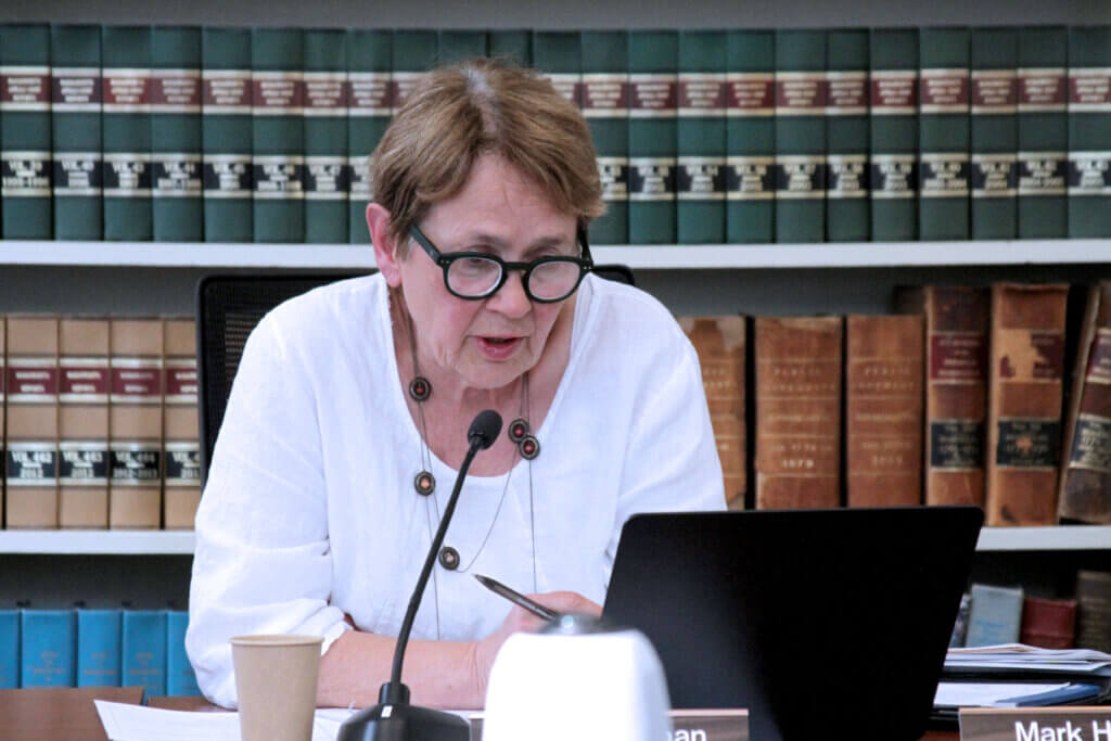 Select Board chair Mary Hartman announced an initial memorandum of agreement with New England Deaconess Association ahead of a Town Meeting rezoning vote. Photo: Dakota Antelman/The Acton Bridge
