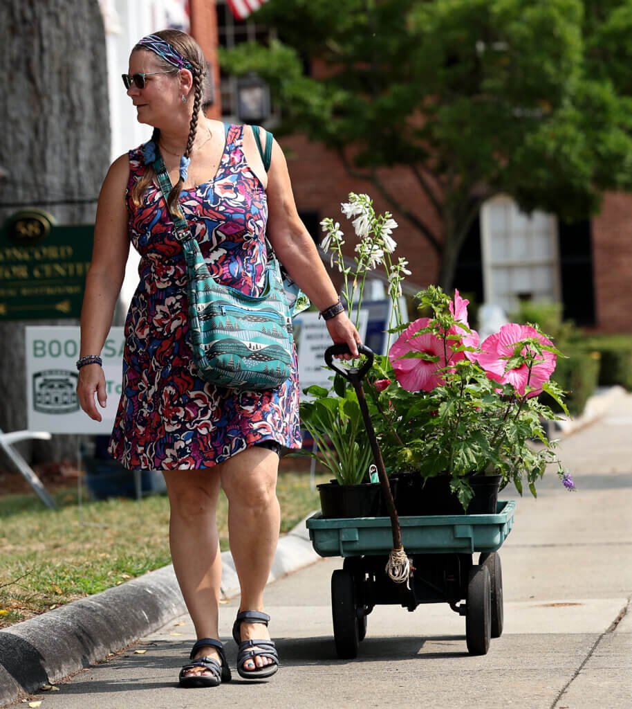 Jennifer Osburn of Maynard pulls a wagonful of hibiscus and other plants from Arena Farm. Photo: Ken McGagh/The Acton Bridge 
