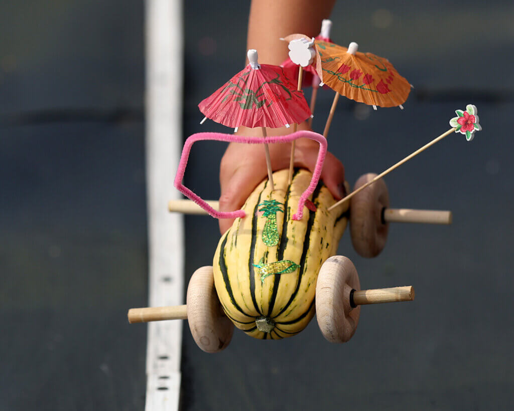 A veggie racer is plucked from the ever-popular Scimone Farm Speedway, where kids decorated and applied wheels to the vegetables of their choice before letting them fly down the track. Photo: Ken McGagh/The Acton Bridge 
