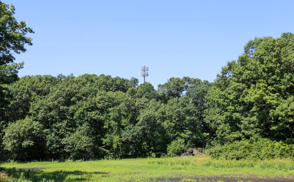 An augmented photo shows the cell tower view from nearby Goose Pond. Image via All-Points Technology Corp.