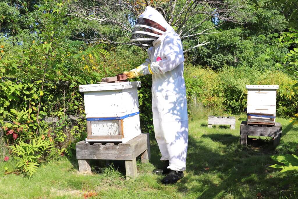 Kielty and Grimwood said they check their hives every couple of weeks to make sure they’re healthy. Photo: Trace Salzbrenner/The Acton Bridg