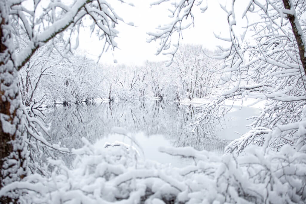 The next day, that 80-acre, wooded tract was blanketed with a half-foot of fresh snow. Photo: Stephen Beyer/The Acton Bridge