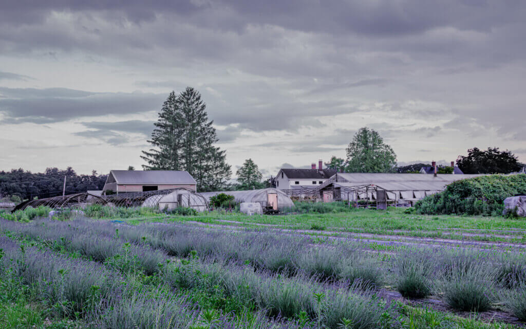 On the eve of opening day, storm clouds cast the fields and farm buildings in a dreamy glow. Photo by Jean Fain