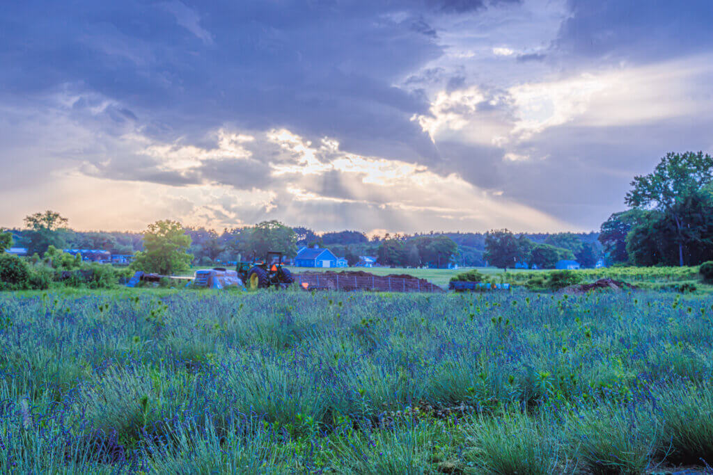 Ahead of opening day, the sun breaks through storm clouds, illuminating the fields. Photo by Jean Fain
