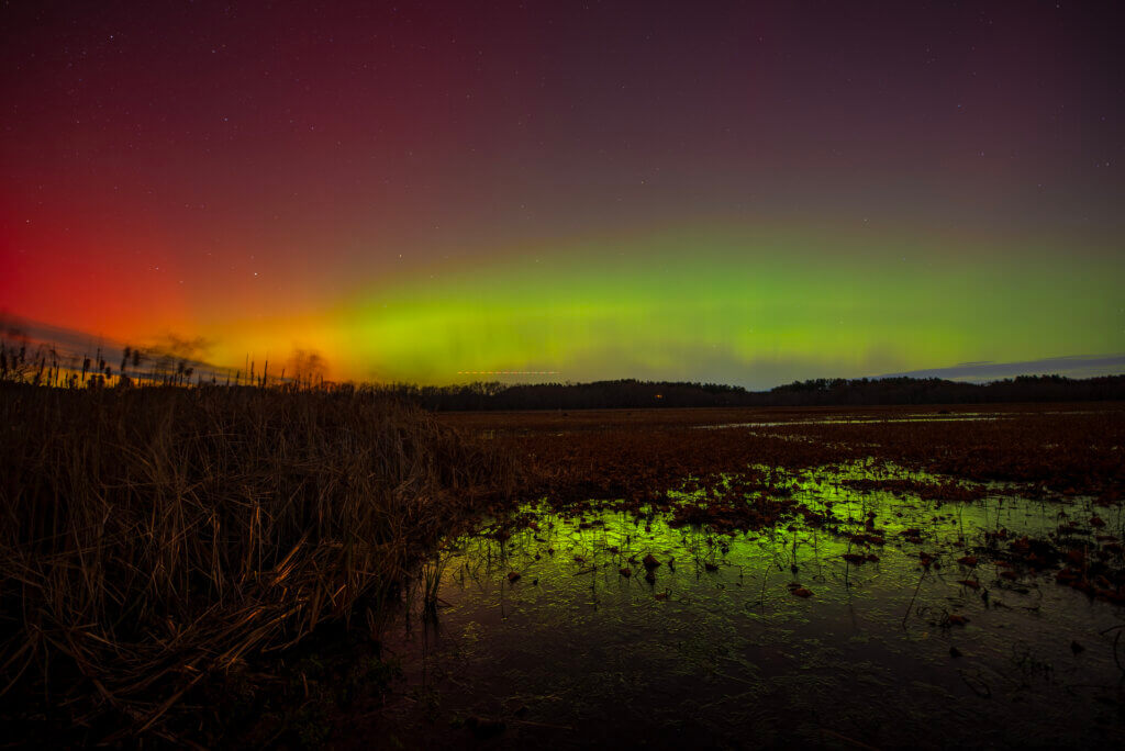 Great Meadows National Wildlife Refuge. Photo by Andrew Marsh