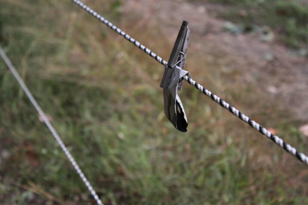Staff at Hutchins Farm have been baiting electrified lines in their effort to deter deer. Photo: Dakota Antelman/The Acton Bridge