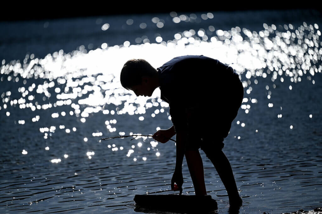 Sunlight shimmers on Walden Pond as William Clift, 11, looks for minnows on November 14. Photo: Ken McGagh/The Acton Bridge
