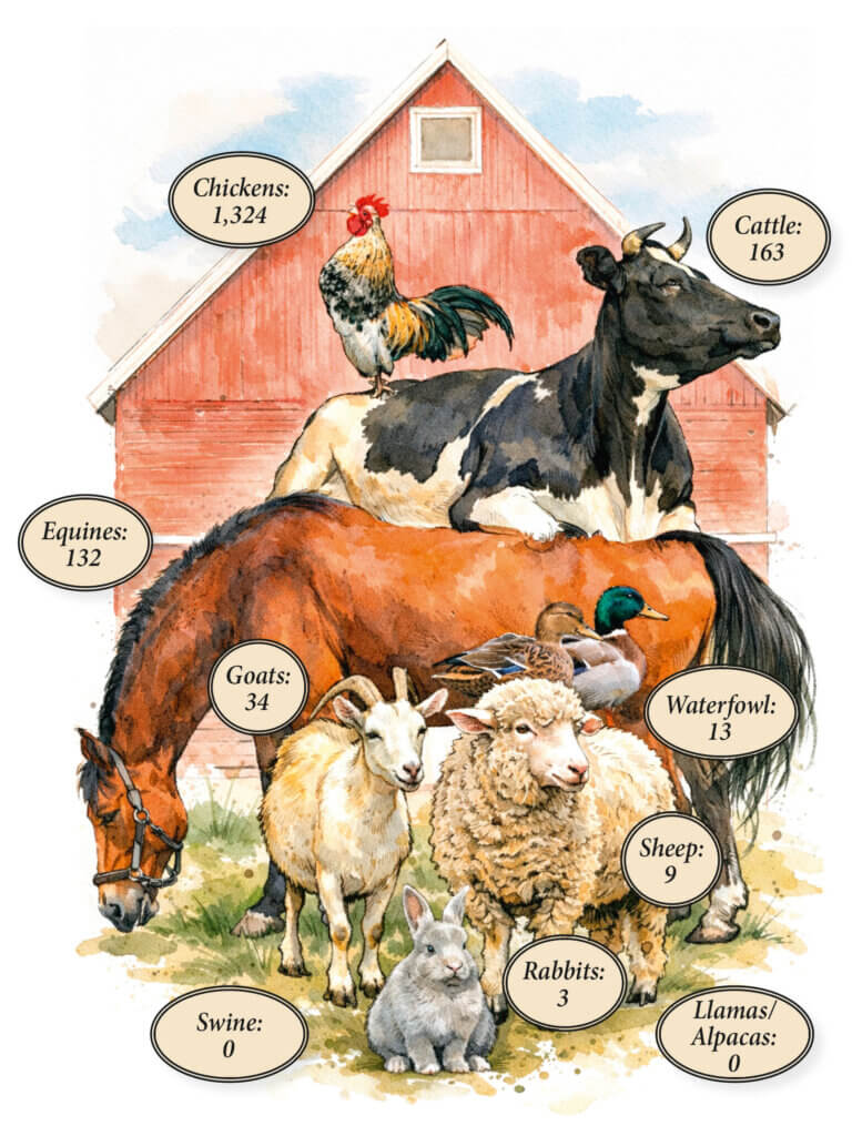 Source: Town of Acton 2025 barn inspection report Digital art: Kim Carpenter/The Acton Bridge