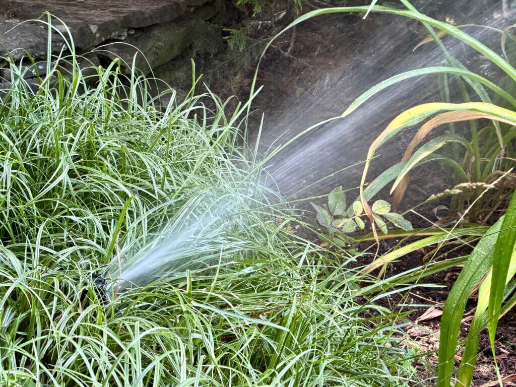 Residents are limited to using lawn irrigation systems once per week, on their trash pickup day. Photo: Celeste Katz Marston/The Acton Bridge