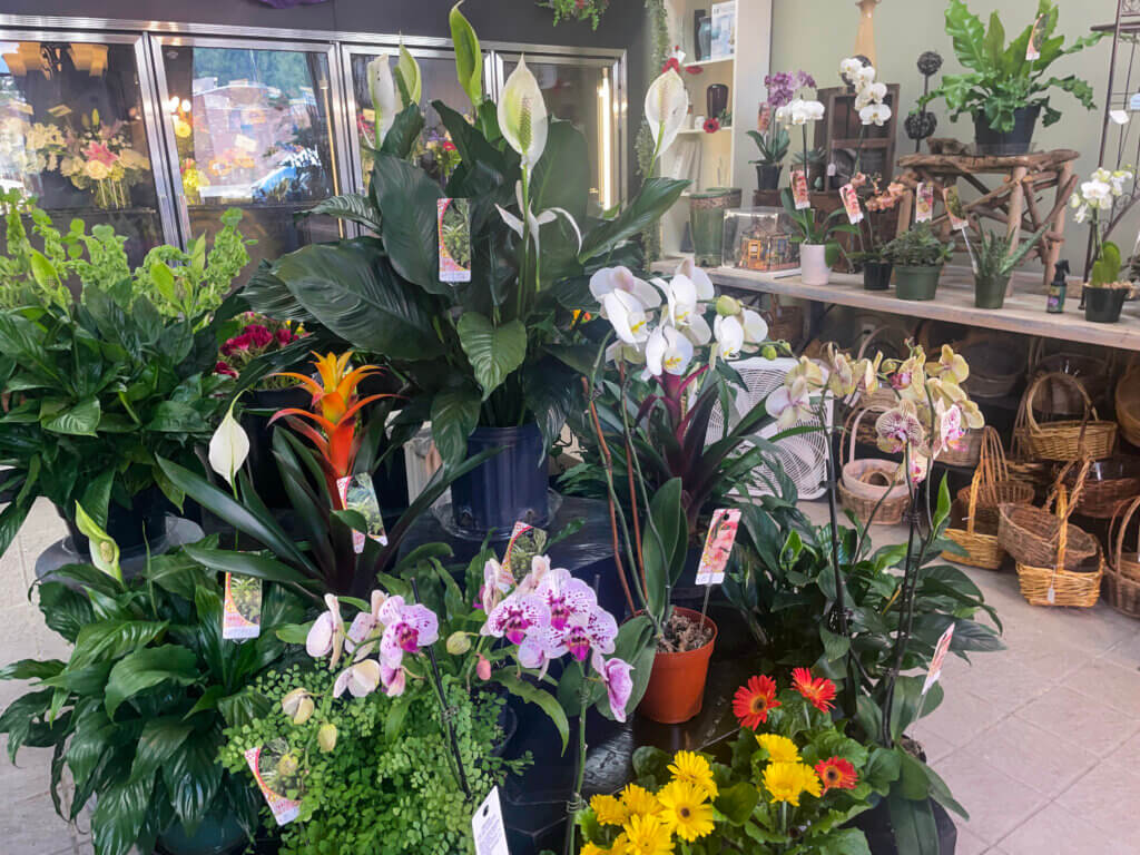 Halloran’s Acton shops have produced flower designs for more than 40 years, even through the pandemic. Photo by Jennifer Mattson