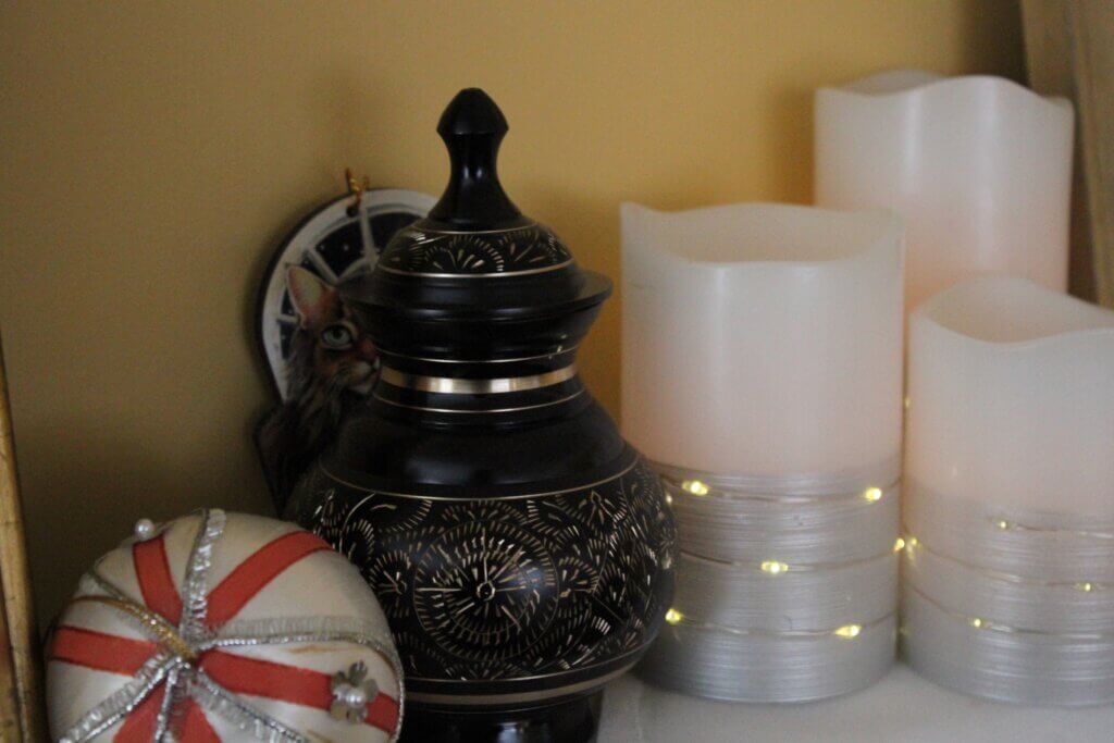 Nancy Allam keeps the ashes of her cat, Kiki, in an urn on the mantel of her rented home. Photo: Dakota Antelman/The Acton Bridge