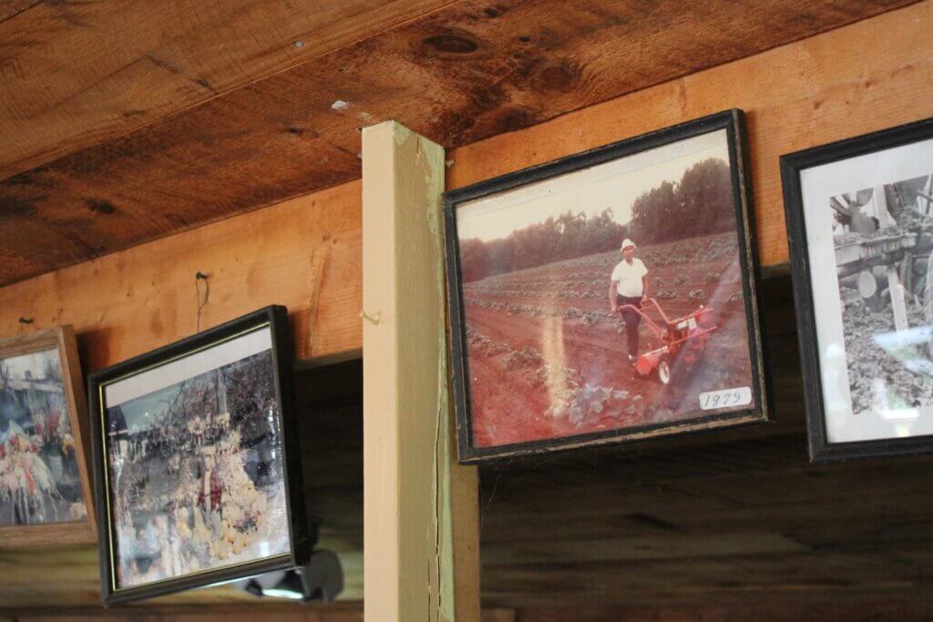 The Scimone family farm has been a staple on Old Bedford Road for generations. Photo: Dakota Antelman/The Acton Bridge