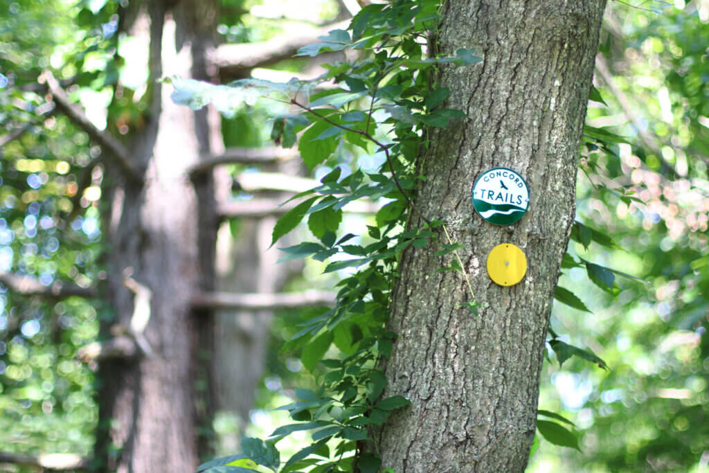Acton has many small trails that help connect the larger, well-known trails. A few, near Bill Robichaud’s house, he made himself. Photo: Trace Salzbrenner/The Acton Bridge