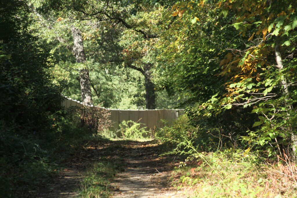 Estabrook Trail is a disputed path that snakes through private property from Acton Center to Carlisle. Photo: Dakota Antelman/The Acton Bridge