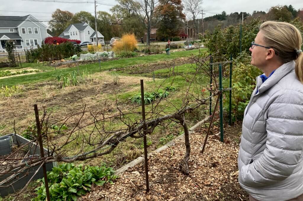 Hugh Cargill Community Garden Coordinator Michelle Wiggins stands before a set of grapevines that gardener Tim Parker currently tends on the property. Photo: Dakota Antelman/The Acton Bridge