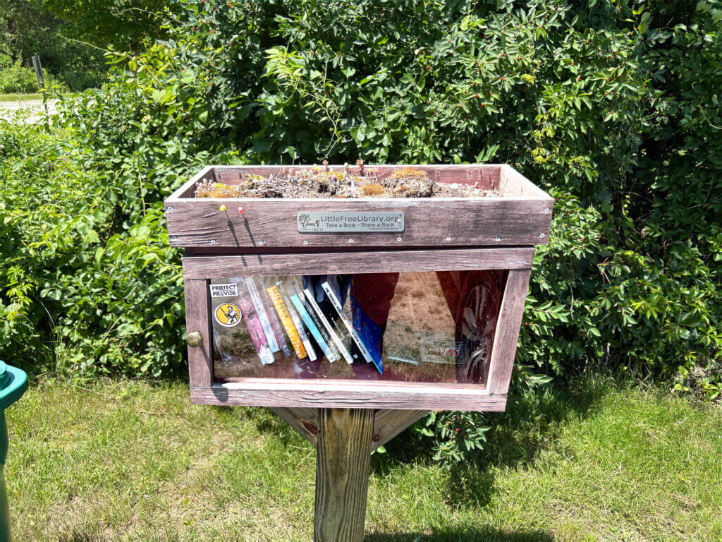 The Little Free Library at Thoreau Farm. Photo: Christine M. Quirk/The Acton Bridge