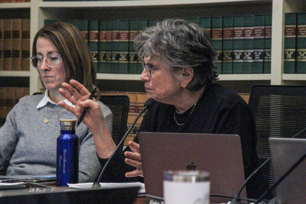 Finance Committee Chair Lois Wasoff said last month that the town is in a “unique moment” with land use opportunities and municipal building needs. Photo: Dakota Antelman/The Acton Bridge