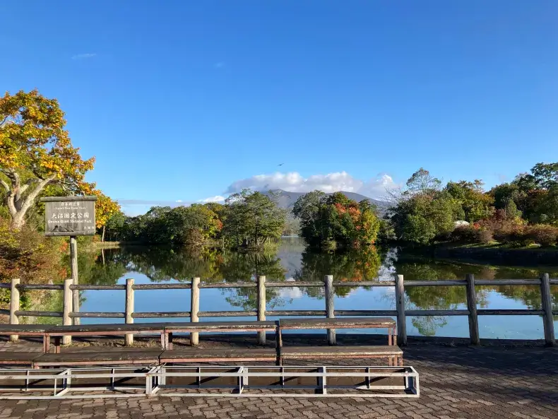 The view from the Onuma Great Run starting line. Photo courtesy of Jack Brox McCarthy