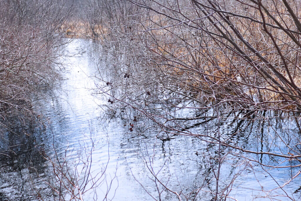 Middlesex has said it's working on a long-term solution. Photo by Trace Salzbrenner