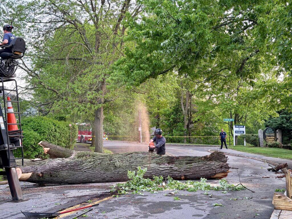 Photo: Celeste Katz Marston/The Acton Bridge