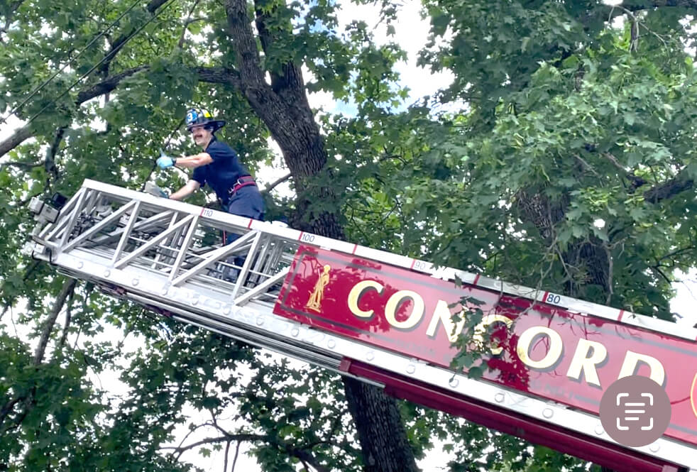 Firefighter Ian Ford gives a thumbs up after the baby starlings are returned to their nest. Courtesy photo