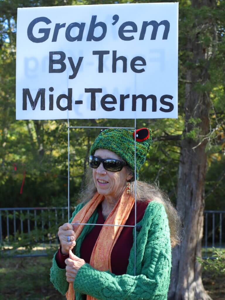 Liza Carter, in a frog hat, stands with her sign near the back of the crowd. Photo: Trace Salzbrenner/The Acton Bridge