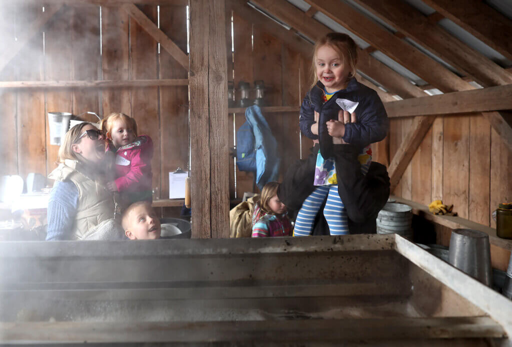 Grace Dettman, 5, gets a view from above the Gaining Ground farm evaporator courtesy of her father, Josh, as Caroline Dettman, holding Pearl Dettman, 3, and Jack Dettman, 6, look on, during an open house on Saturday, March 7, 2026. Caroline Dettman is a Acton native and her father, Bob Brooks, still lives in town and is a volunteer at Gaining Ground. Ken McGagh/The Acton Bridge