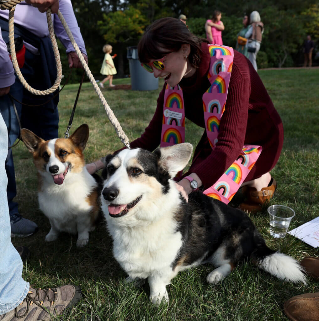 Arthur and Hannah, Welsh corgis belonging to Mary and Wayne Jalenak of Maynard are blessed by Rev. Martha Schick during a Blessing Of The Animals ceremony at Trinitarian Congregational Church in Acton Sunday, September 21, 2025. Ken McGagh/The Acton Bridge