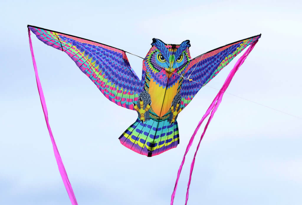 A kite in the shape of an owl soars above Rideout Park in West Acton during the Acton Recreation Department’s Kite Festival on Saturday, May 2, 2026. Ken McGagh/The Acton Bridge