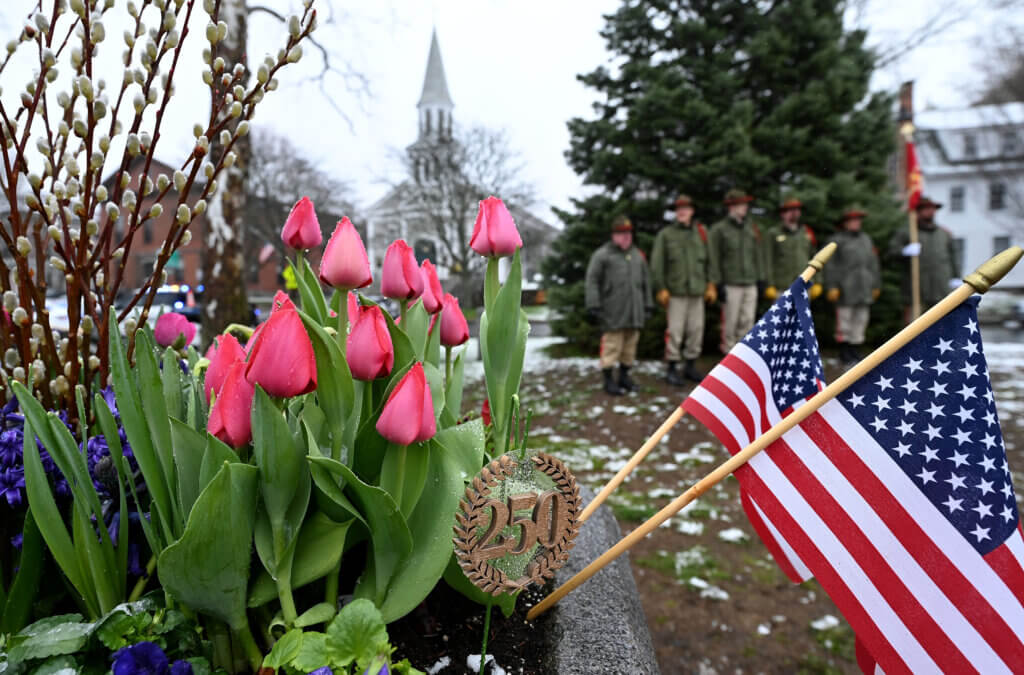 Freshly-planted tulips and a Concord250 medallion frame the Acton Independent Battery as the Battery prepares to raise a new American flag in Acton Center on Saturday, April 12, 2025.  Ken McGagh/The Acton Bridge