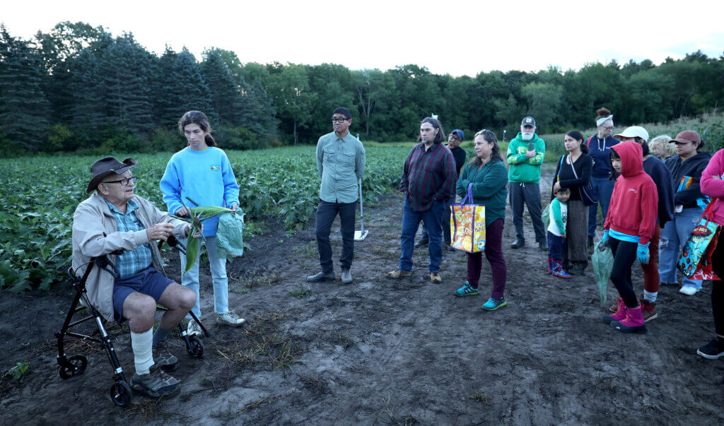 With his granddaughter Grace Faddoul at his side, Verrill Farm patriarch Steve Verrill, 91, educates on the art of corn growing and picking during an early morning corn picking opportunity for the community at Verrill Farm on Saturday, August 29, 2026. A group of twenty locals arrived at the farm at 6:00 a.m. Saturday for the opportunity to pick the crop themselves. Ken McGagh/The Acton Bridge