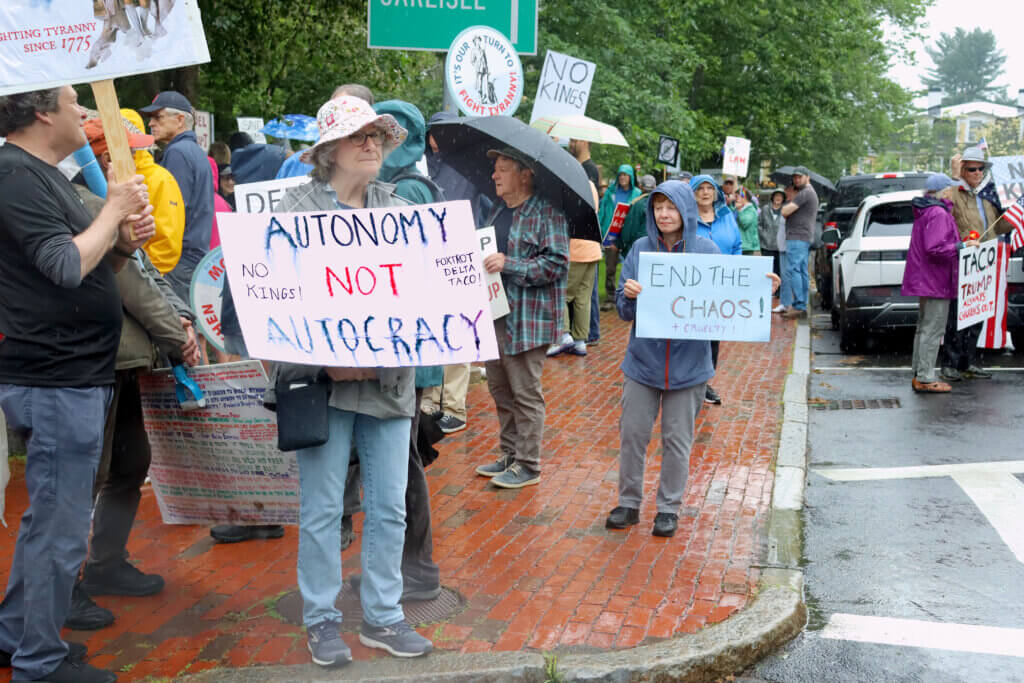 Deb Bergquist said she marched to preserve democracy.