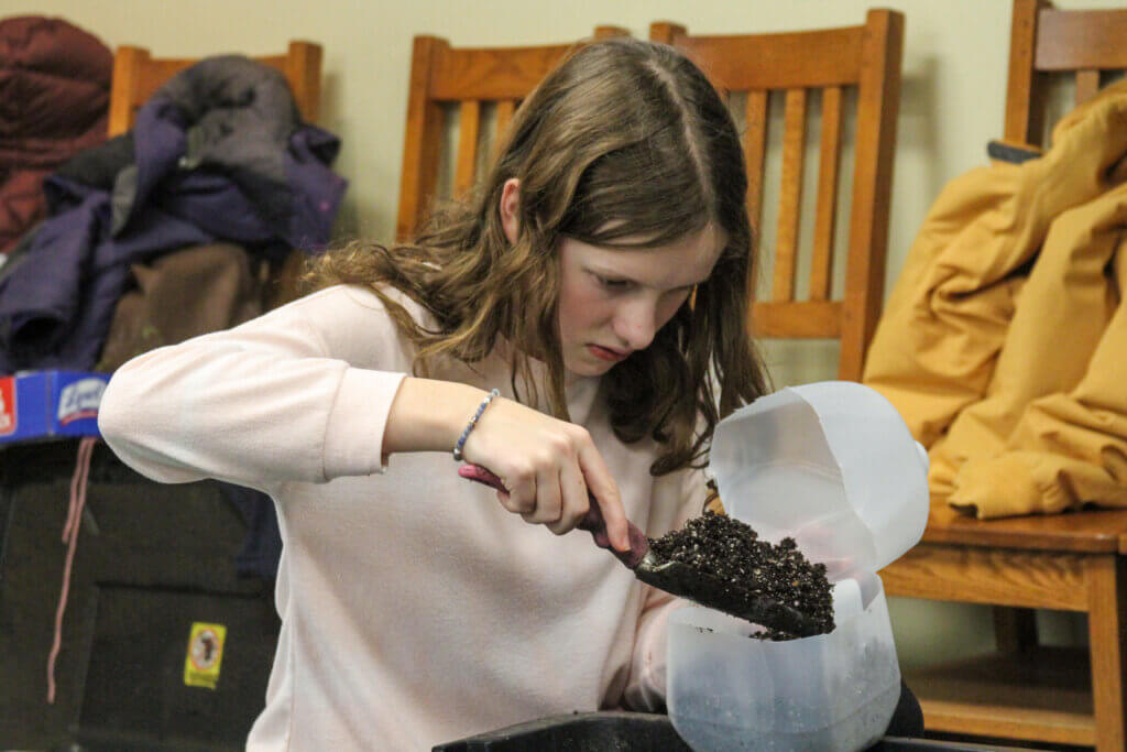 Adeline McNamara carefully fills a milk jug with soil. Photo: Dakota Antelman/The Acton Bridge