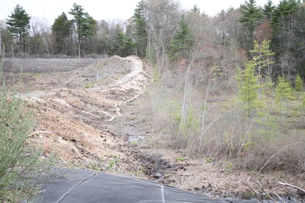 Locals studying the site say they want to protect a rare “quaking bog” at 2229 Main Street. Photo: Dakota Antelman/The Acton Bridge