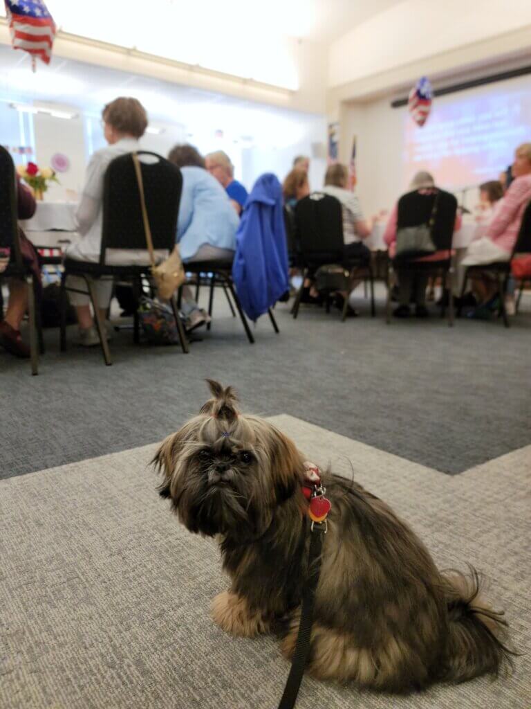 Momo makes a guest appearance at a Council on Aging event. Courtesy photo