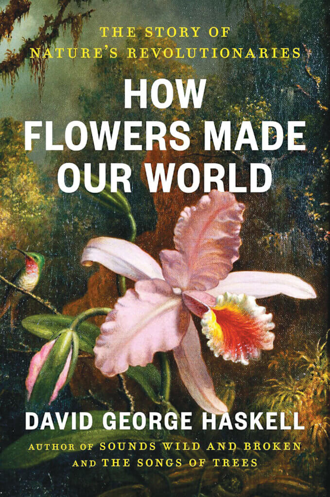 How Flowers Made our World