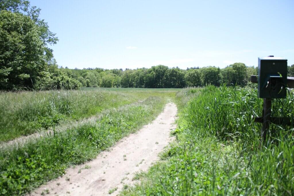 Experts urge people to be especially vigilant for ticks after walking through tall grass. Photo: Dakota Antelman/The Acton Bridge