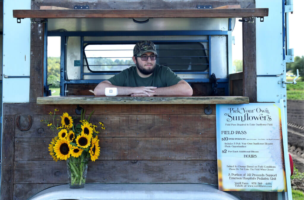 Verrill Farm worker John Robinson mans the trailer on site in the pick-your-own sunflower field on Saturday, August 30, 2025. Ken McGagh/The Acton Bridge