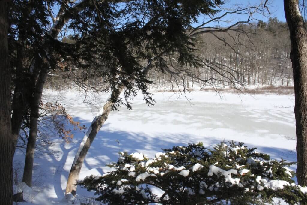 Geoff and Electa Tritsch’s 1950s home offers sweeping views of the Sudbury River. Photo: Dakota Antelman/The Acton Bridge