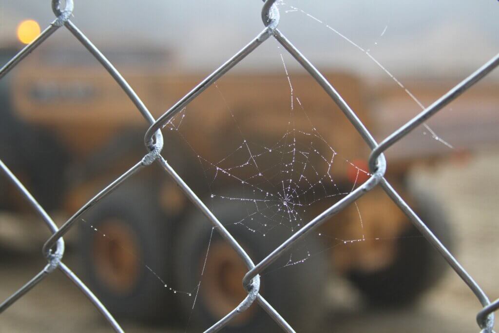 A spiderweb glistened on a construction fence one foggy morning this month. Photo: Dakota Antelman/The Acton Bridge