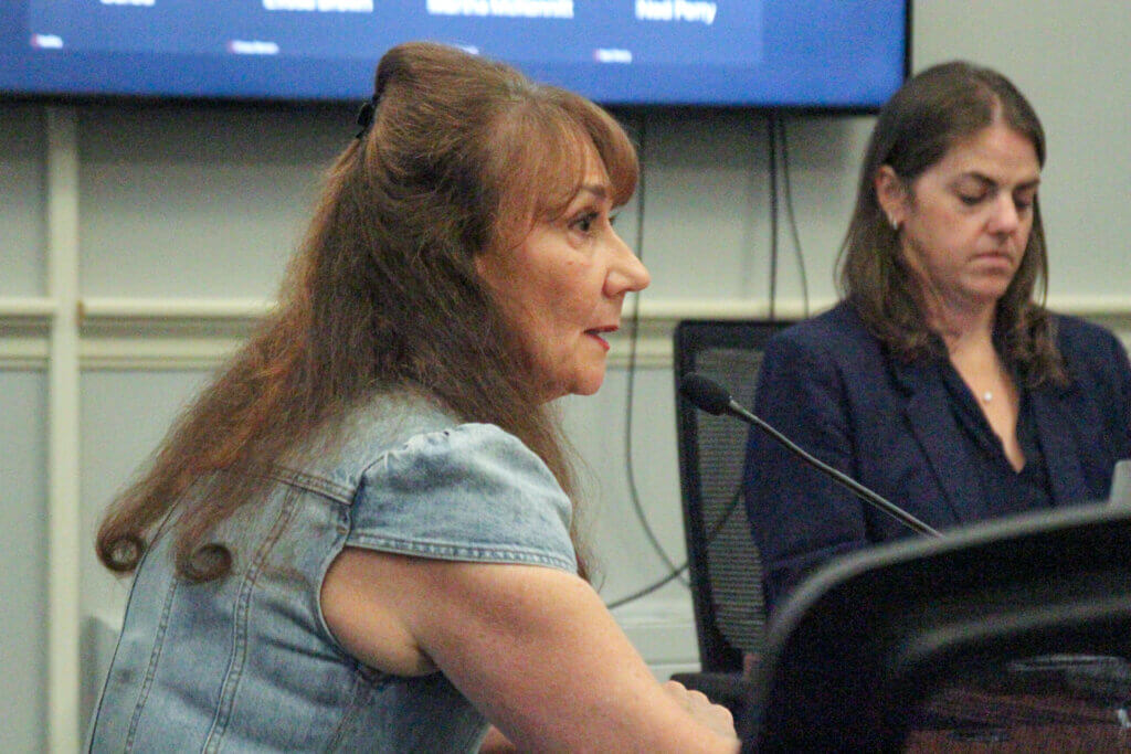Estabrook lawsuit co-defendant Anna Winter Rasmussen, left, said her family has suffered “a profound loss of our right to protect our home” since litigation started. Photo: Dakota Antelman/The Acton Bridge