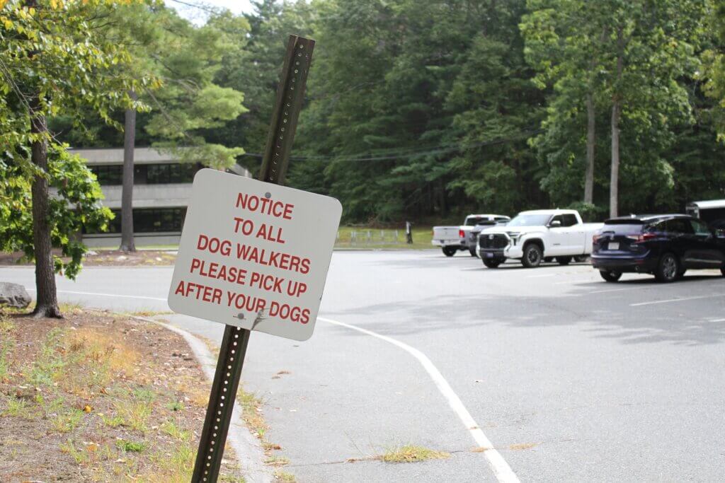 Town Facilities Manager Russ Karlstad said he often sees neighbors walking their dogs around the former Peabody School. Photo: Dakota Antelman/The Acton Bridge