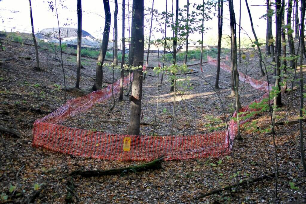 New uranium findings will require additional excavation and tree removal at 2229 Main Street. Photo: Dakota Antelman/The Acton Bridge