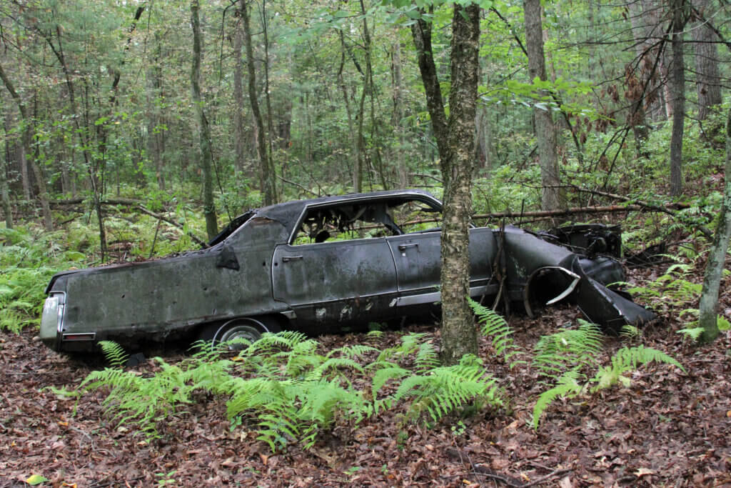 A trashed car lies abandoned in the woods at 0 Pond Lane. Photo: Dakota Antelman/The Acton Bridge
