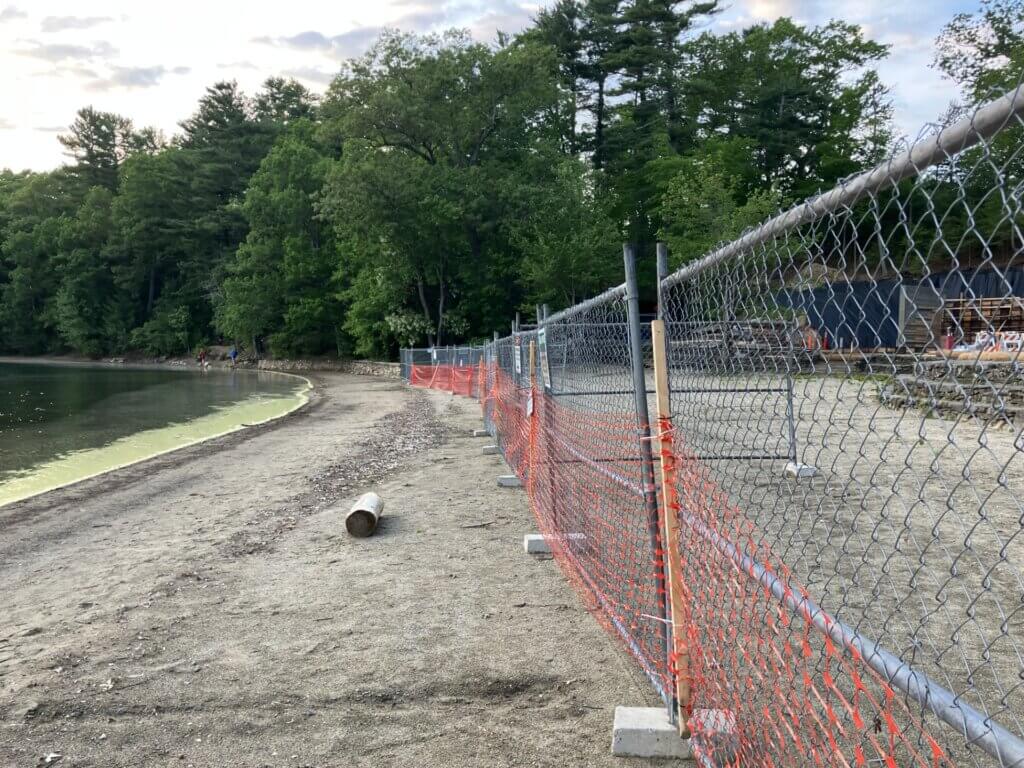 Walden Pond's Main Beach during the closure. Photo by Margaret Carroll-Bergman.