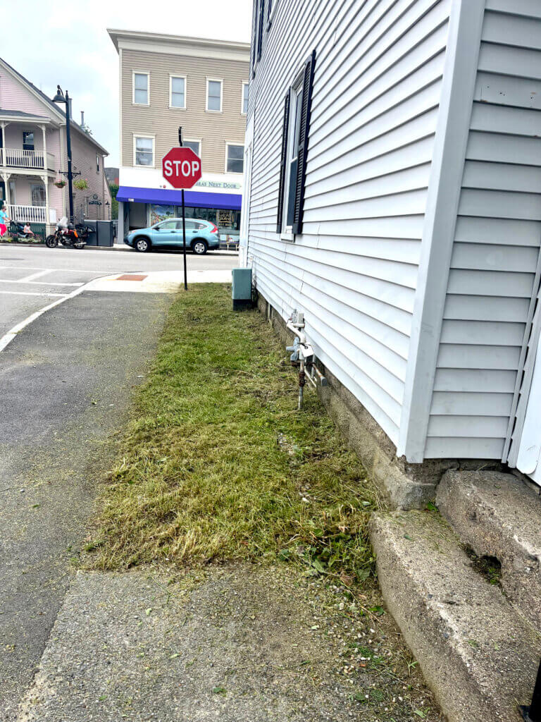 With the high weeds trimmed back, it was time to start pulling. Courtesy photo