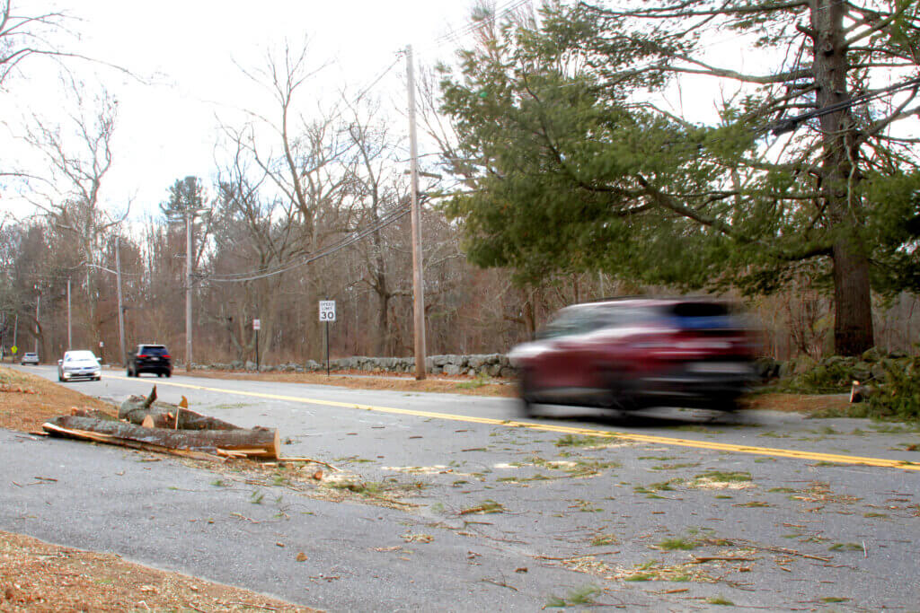 Cars pass the spot on Monument Street where a fallen tree briefly blocked traffic Friday afternoon. Photo: Dakota Antelman/The Acton Bridge